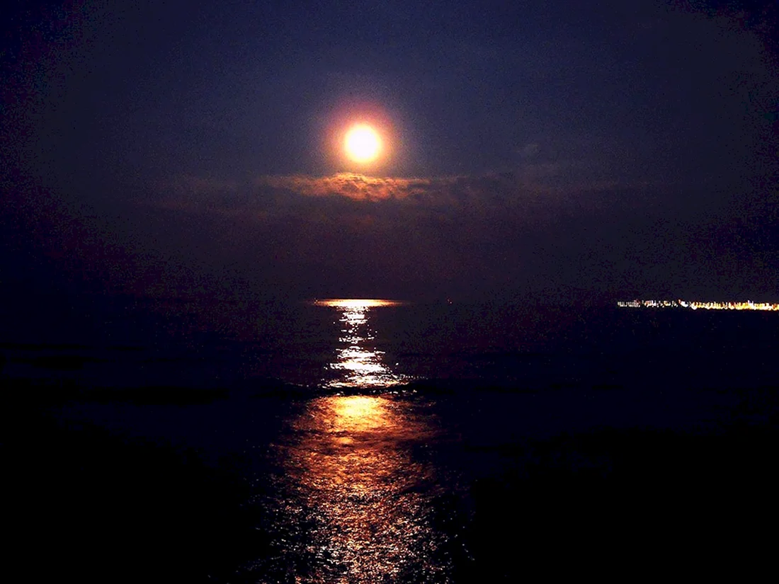 Ночное море