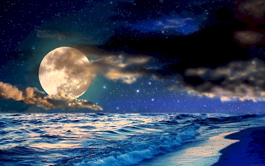 Ночное море