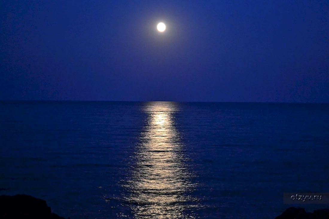 Ночное море