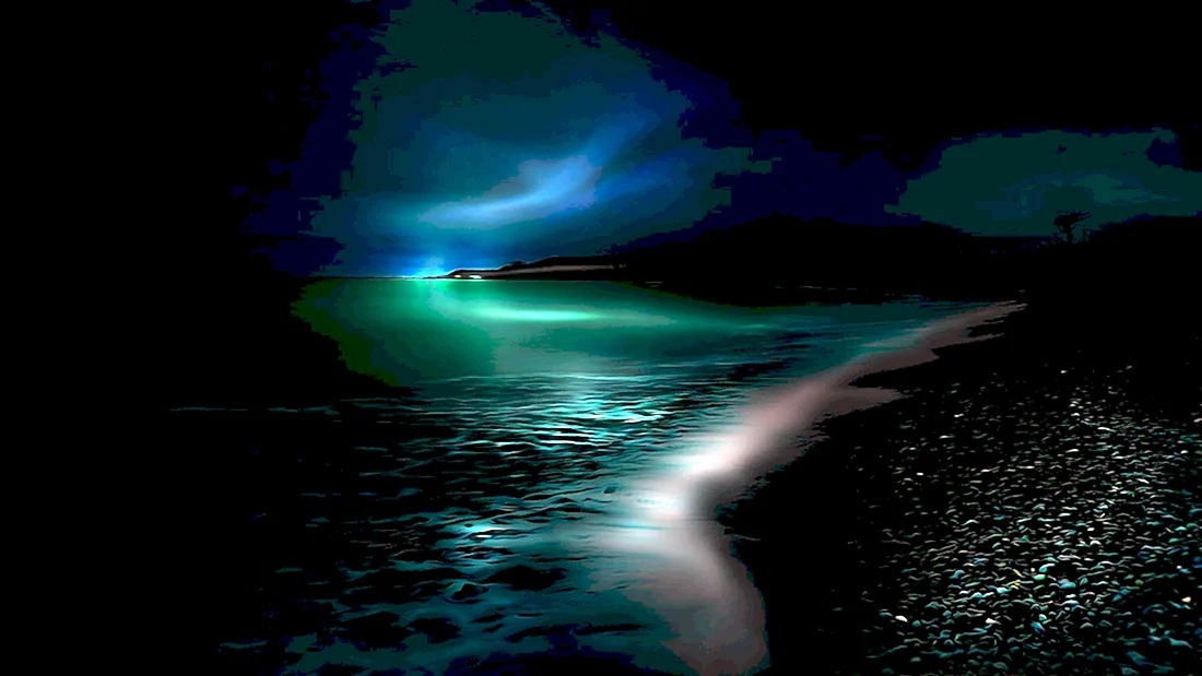 Ночное море