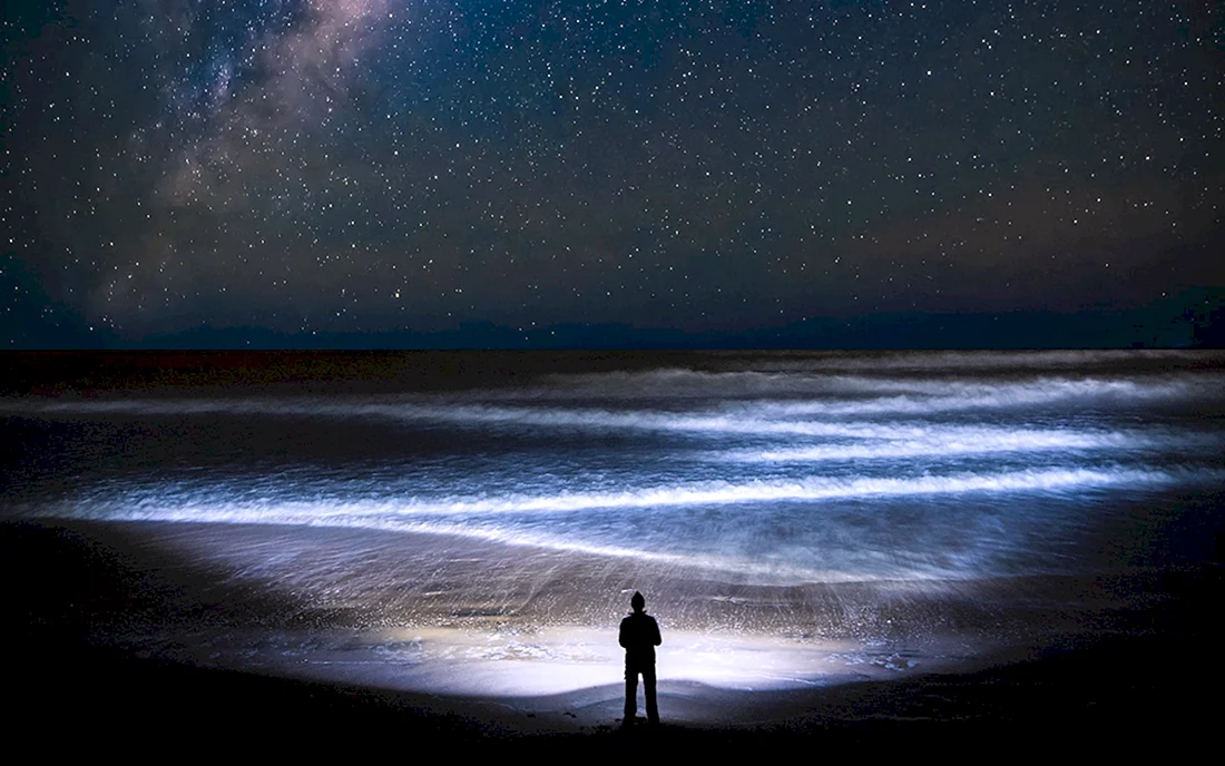 Ночное море