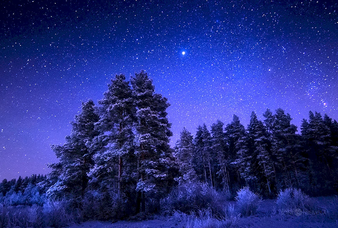 Ночное небо