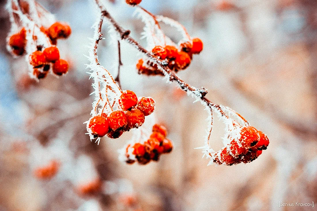 Ноябрь природа