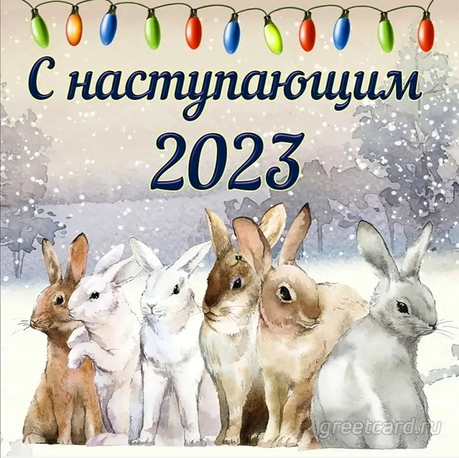 Новогодняя открытка с кроликом