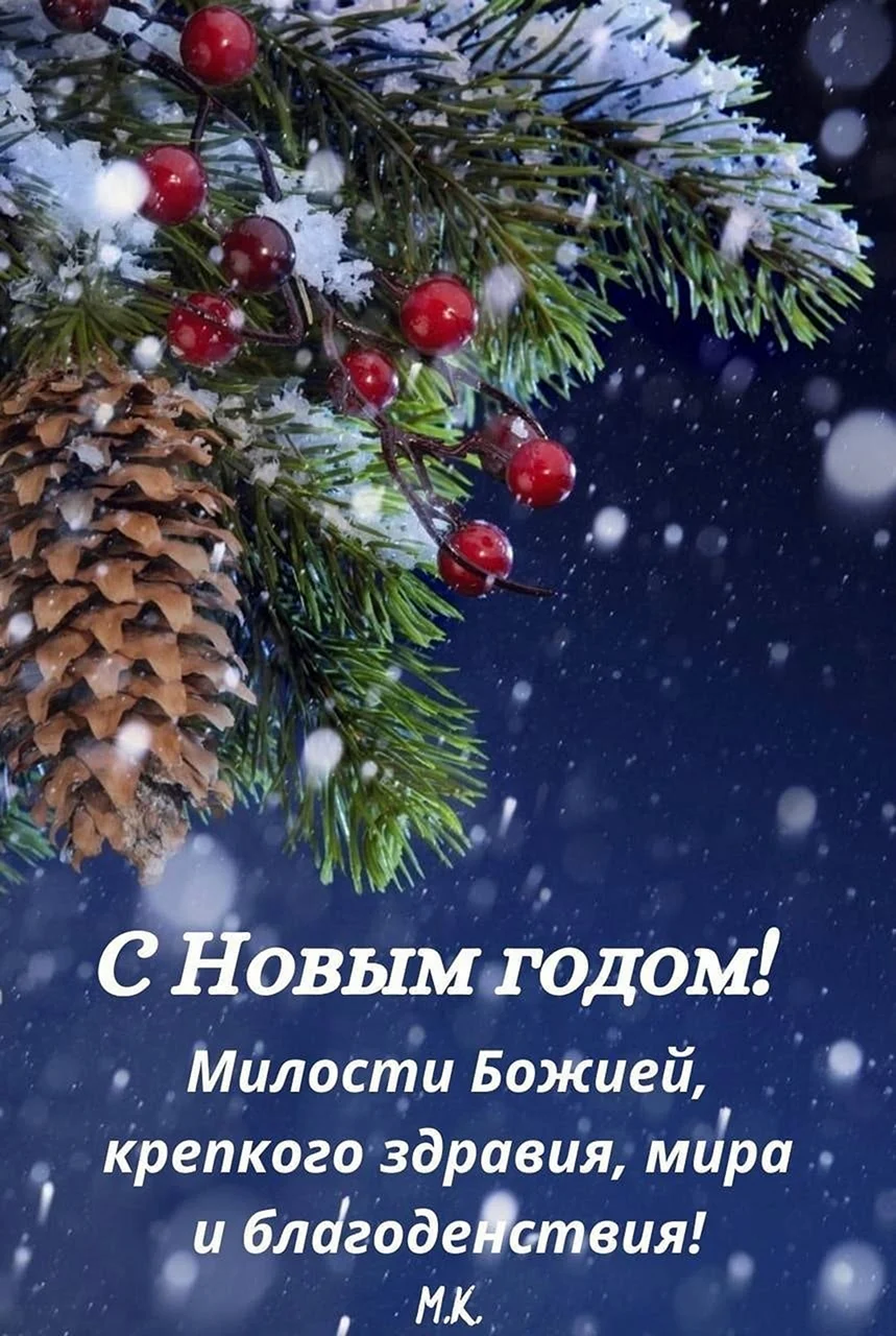 Новогодняя зима