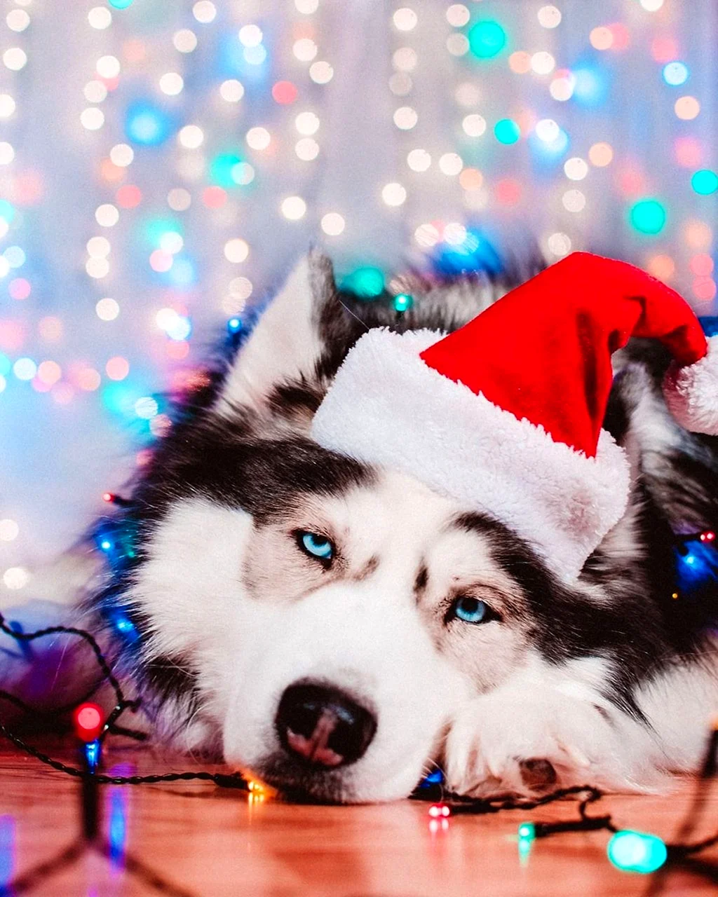 Новогодний щенок