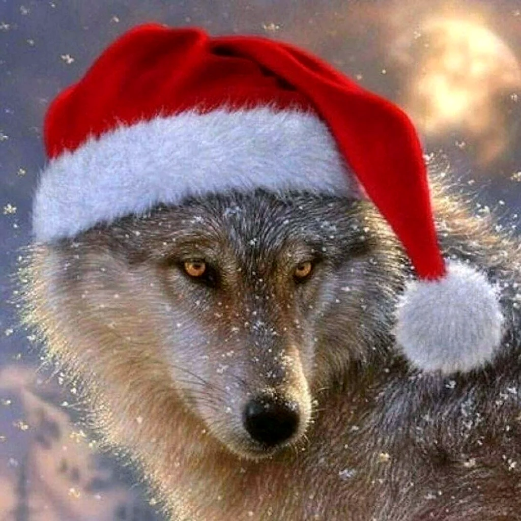 Новогодний волк