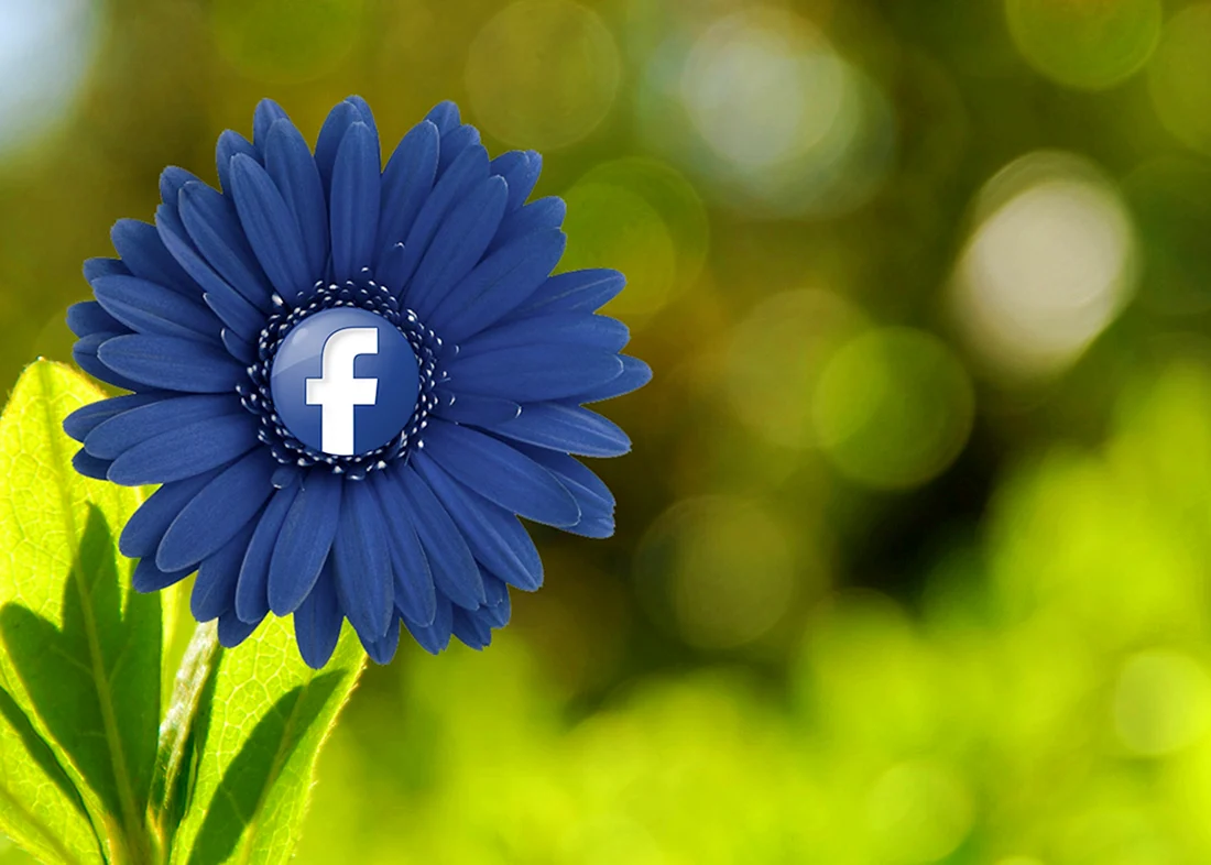 Обложка для Facebook