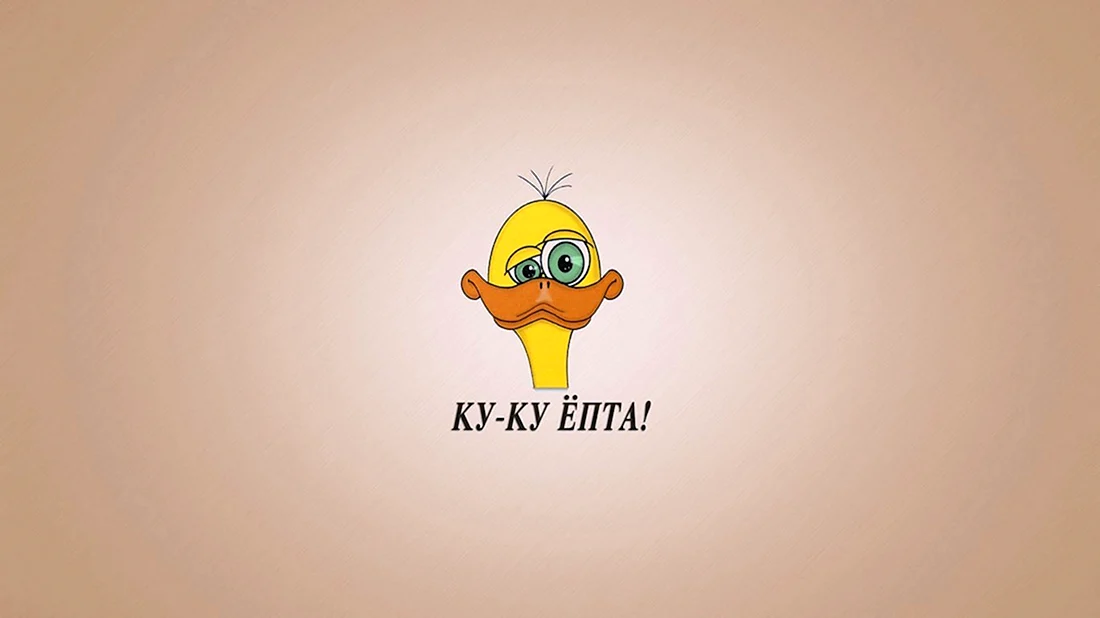 Обои на рабочий стол прикольные
