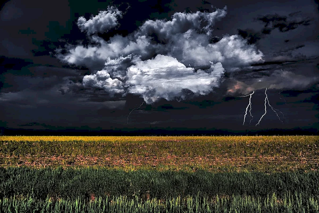 Одноячейковая гроза