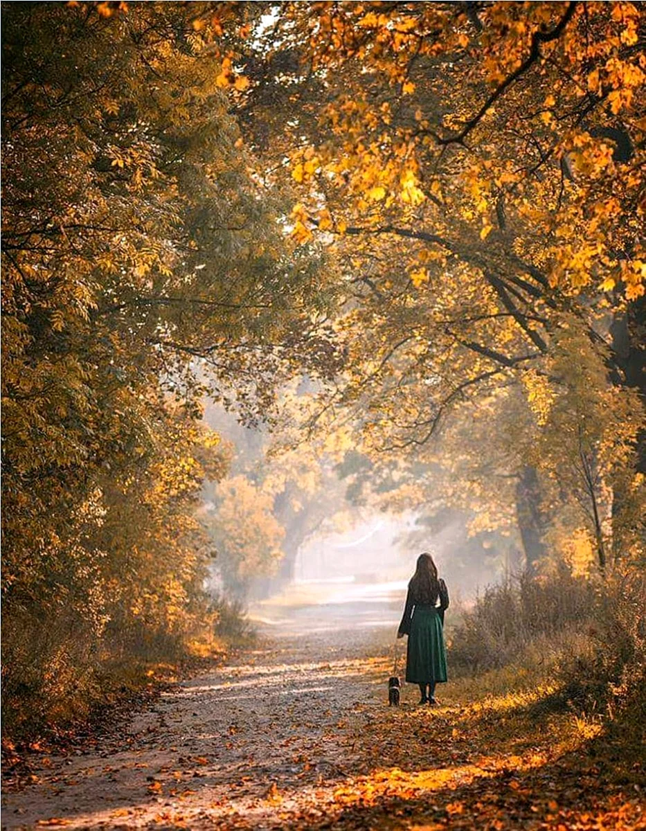 Осень грусть