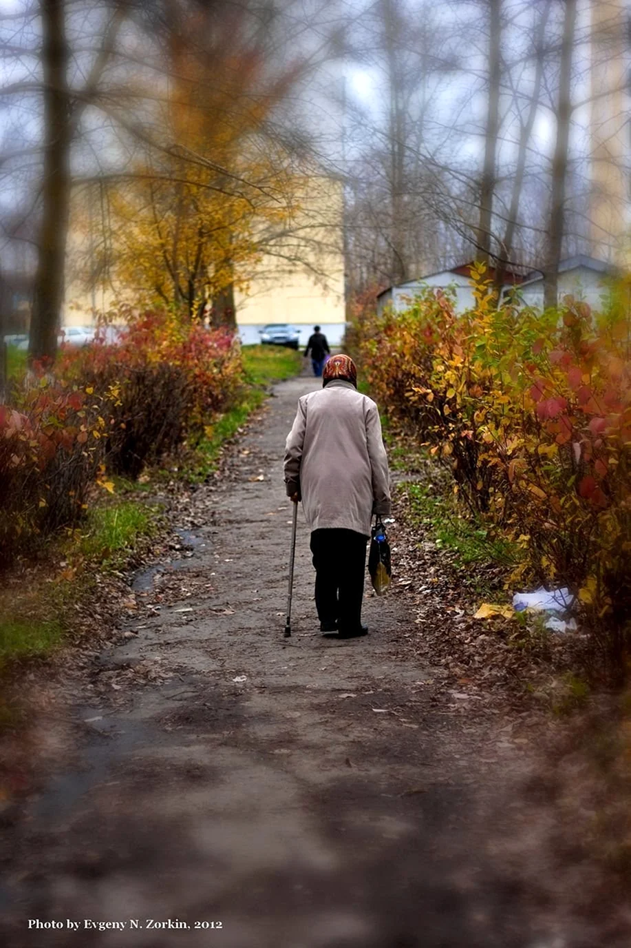 Осень одиночество
