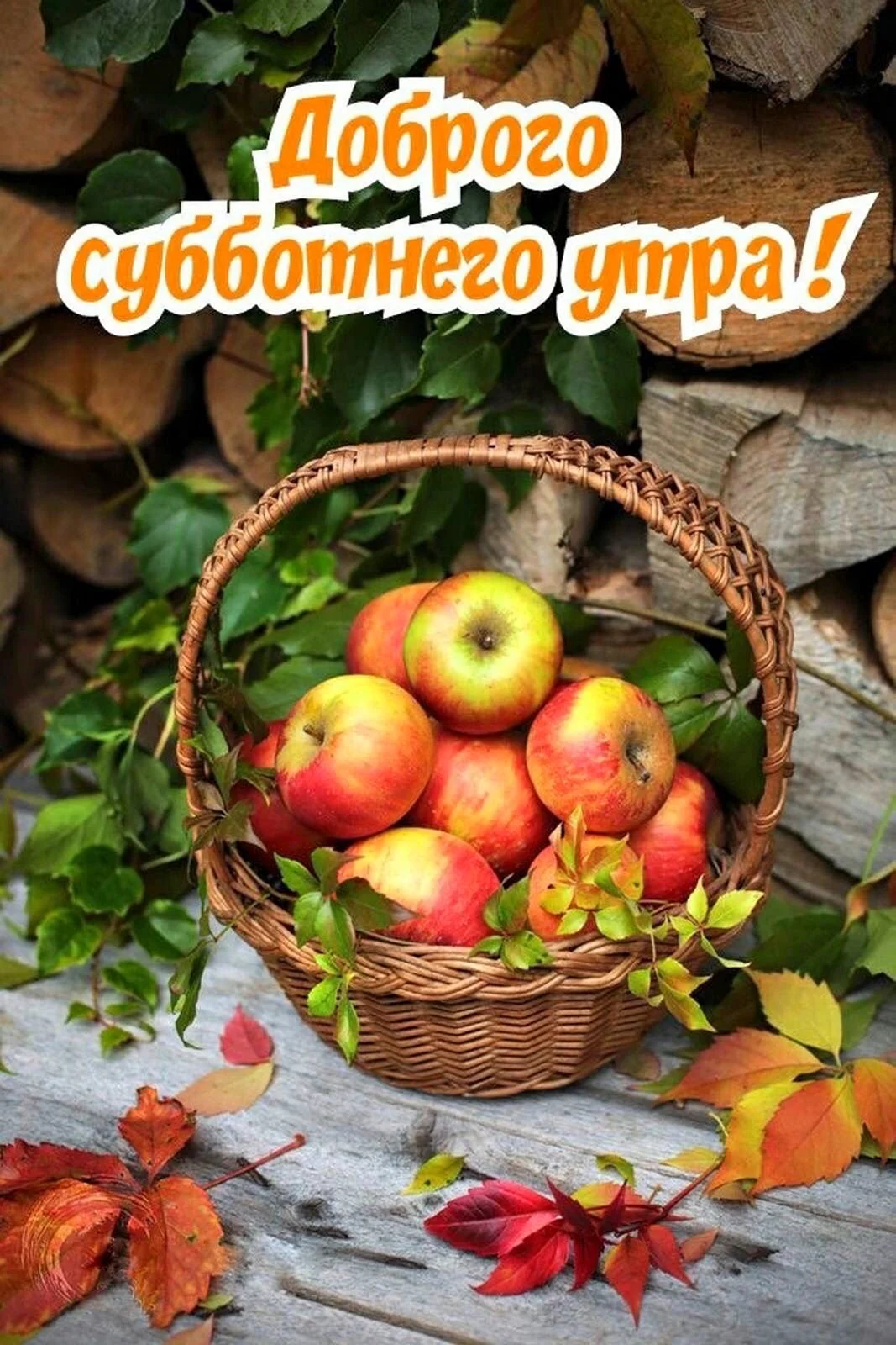 Осенние фрукты
