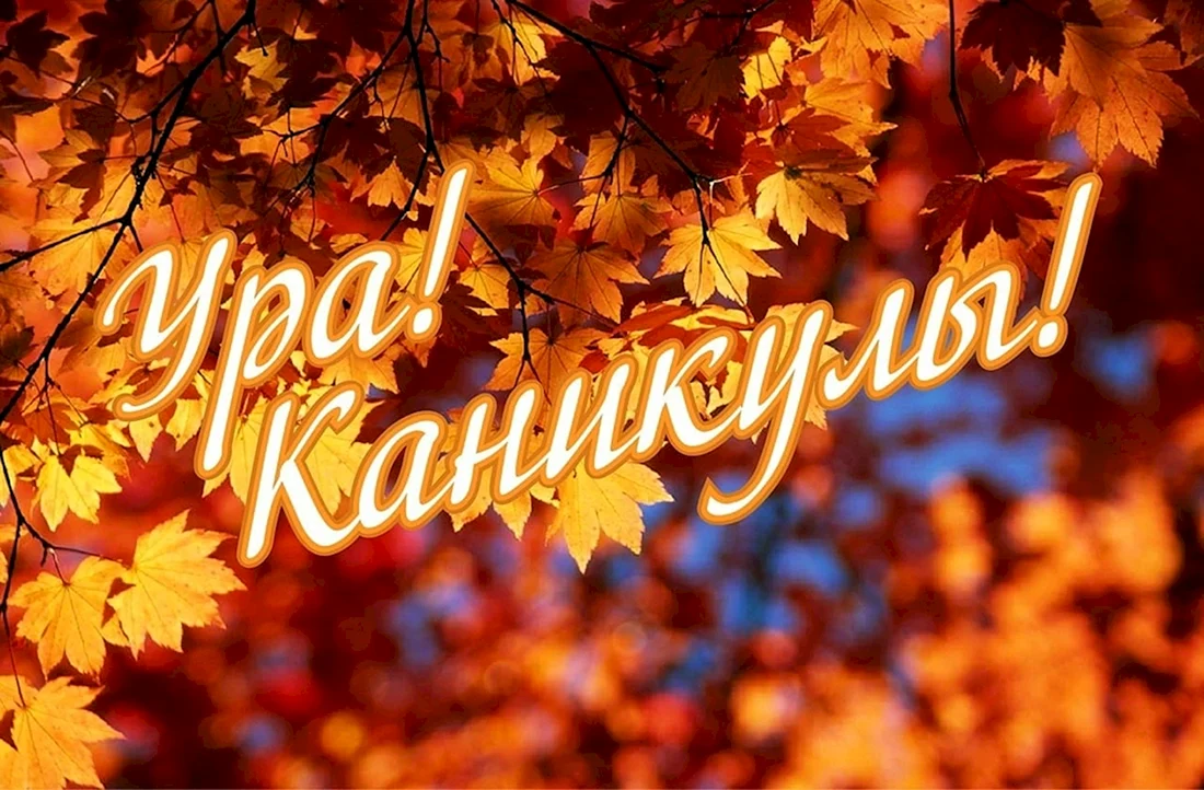 Осенние каникулы