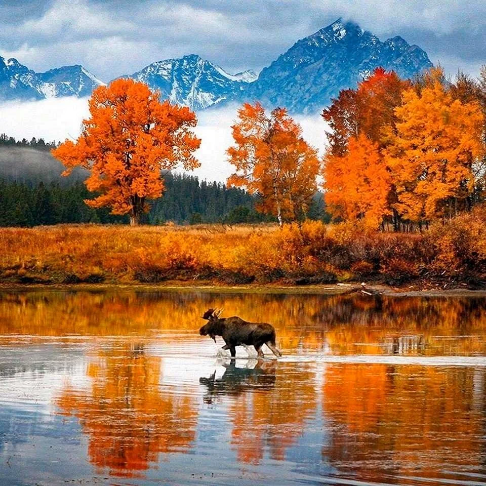 Осенний пейзаж