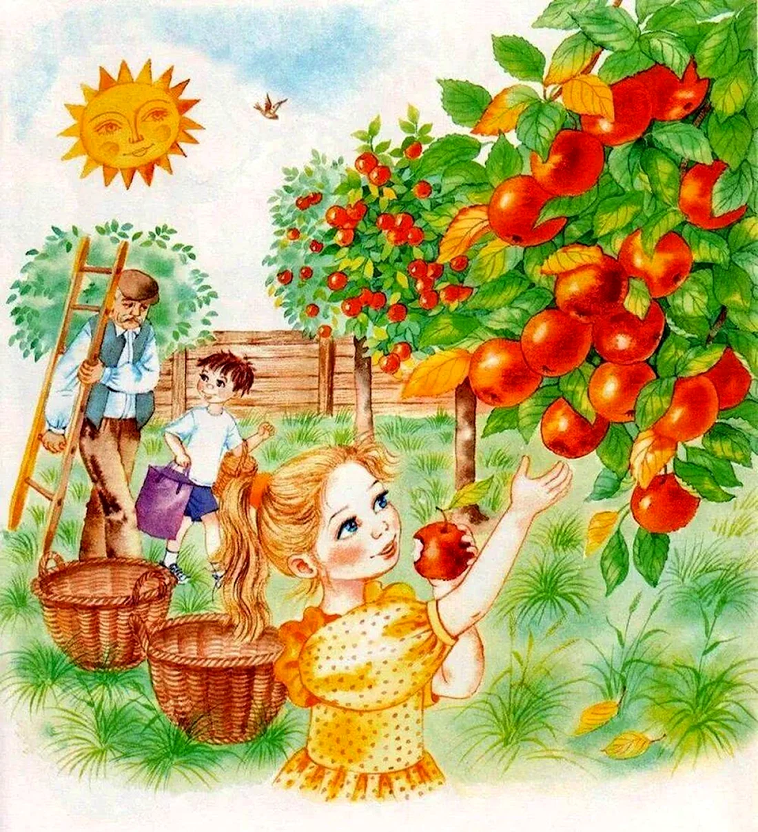 Осенний сбор урожая