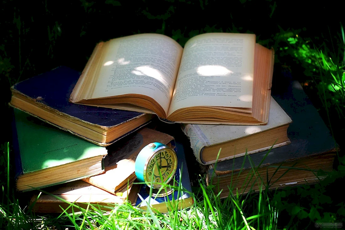Открытая книга