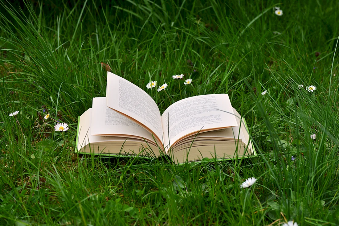 Открытая книга