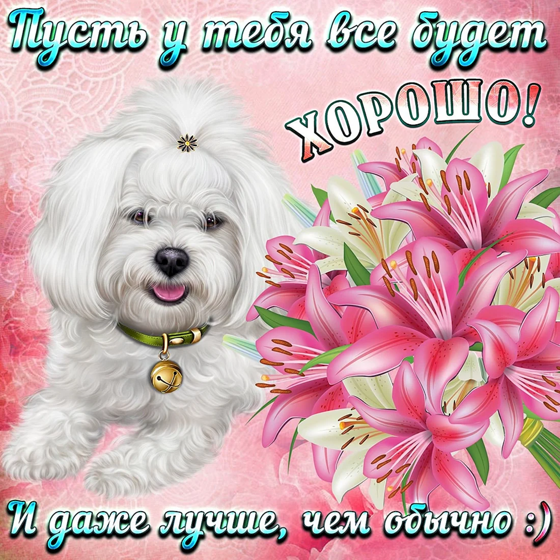 Открытки