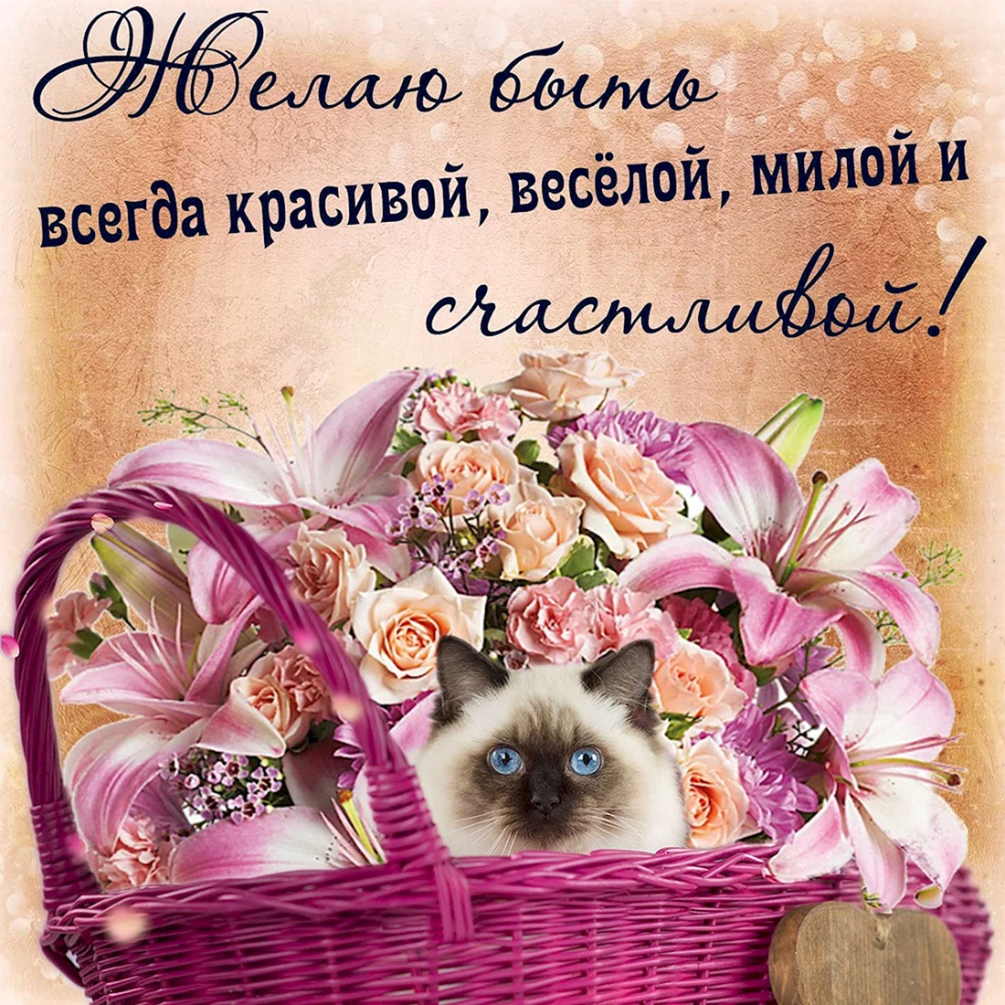 Открытки