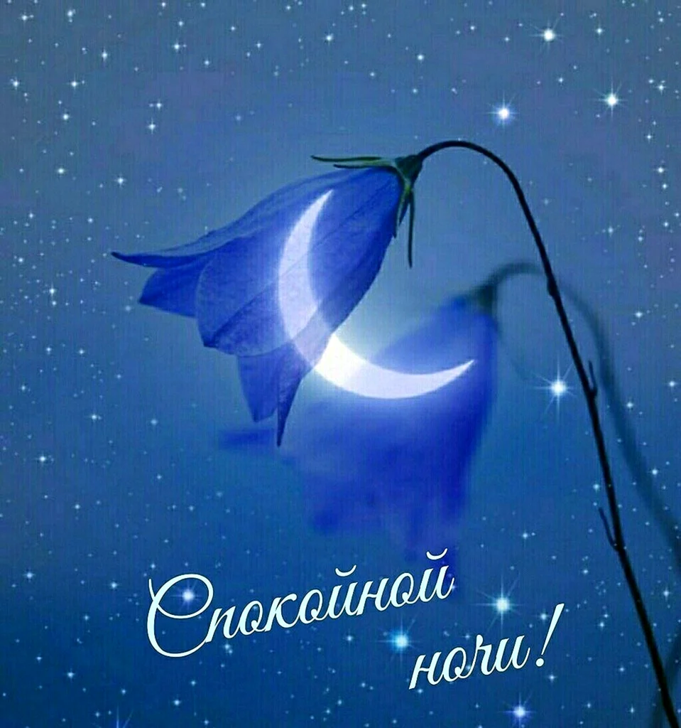 Открытки доброй ночи