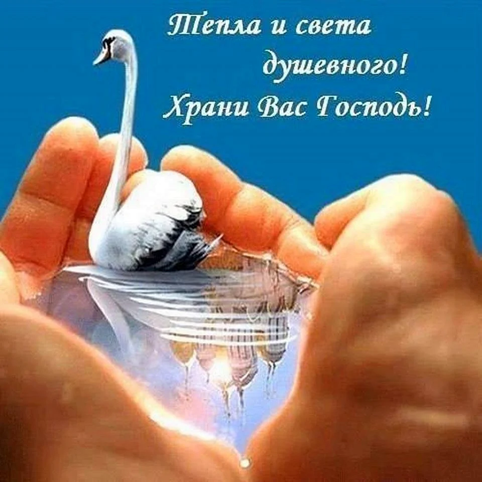 Открытки пожелания душевного тепла