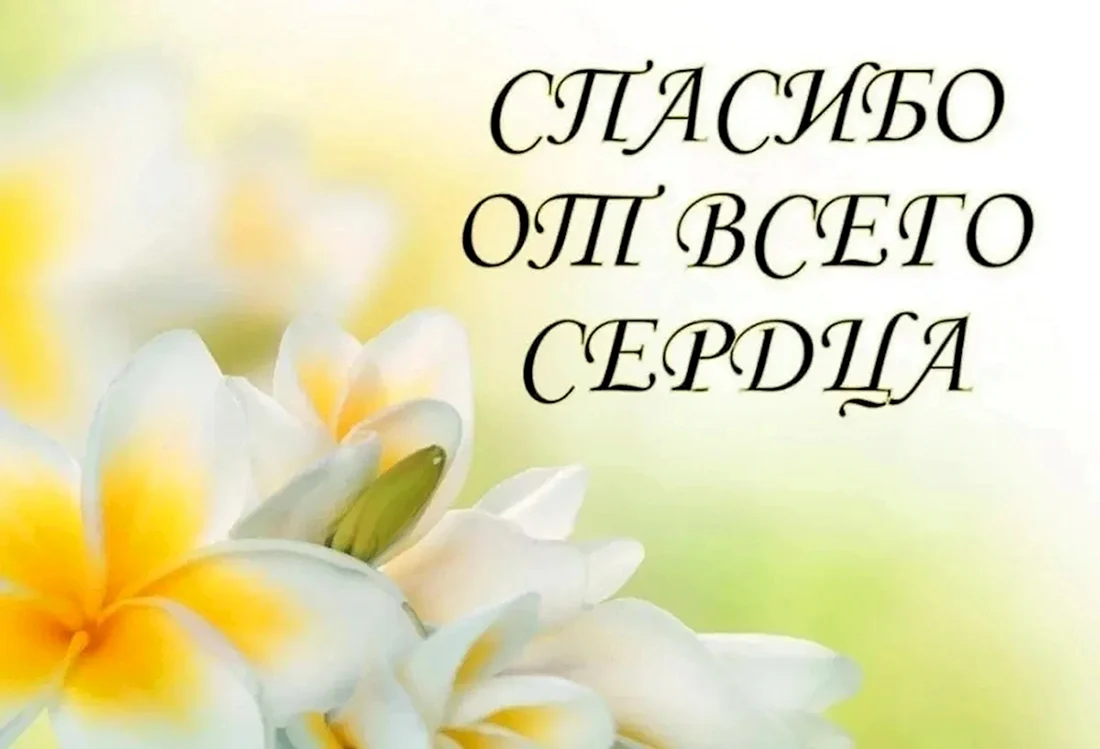 Открытки спасибо за заказ купить оптом LIFE POSTER