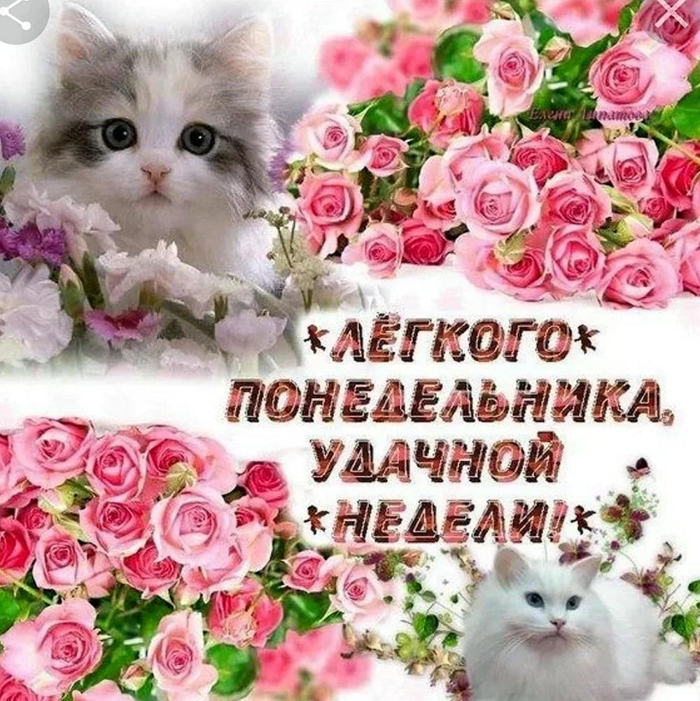 Открытки с понедельником