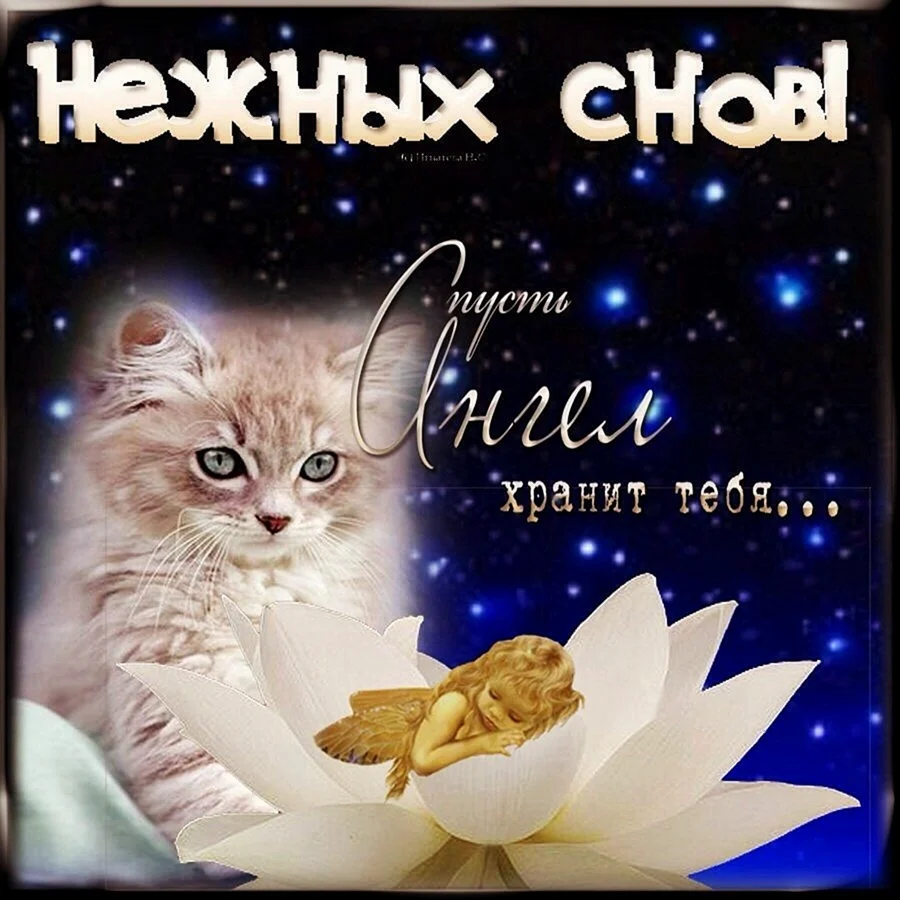 Открытки спокойной ночи