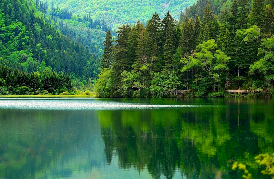Озеро Рица
