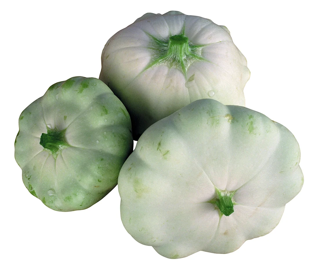 Патисон мариновый