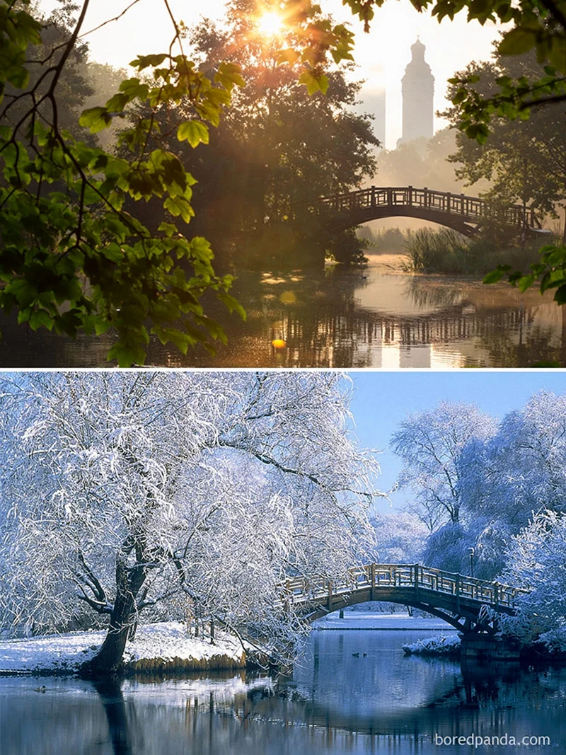 Пейзаж зимой и летом