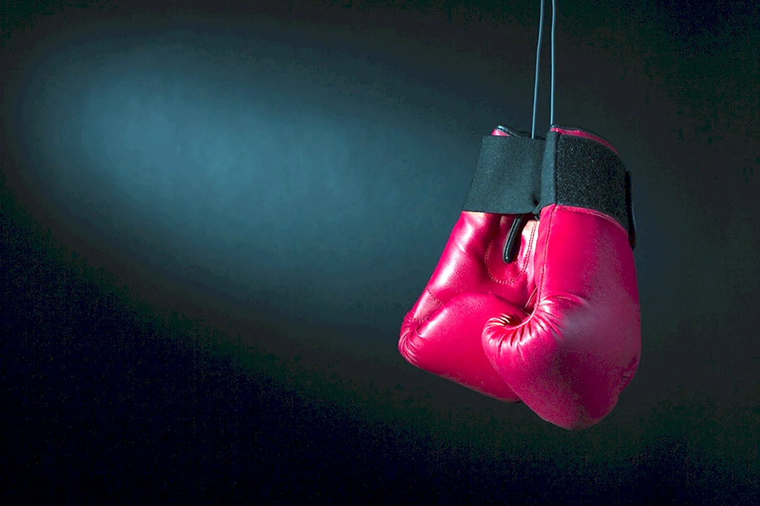 Перчатки боксерские Muay Thai
