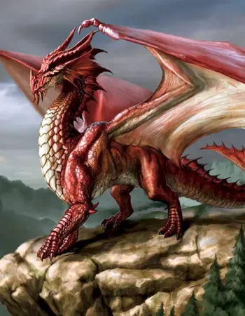 Перуанский Змеезуб дракон