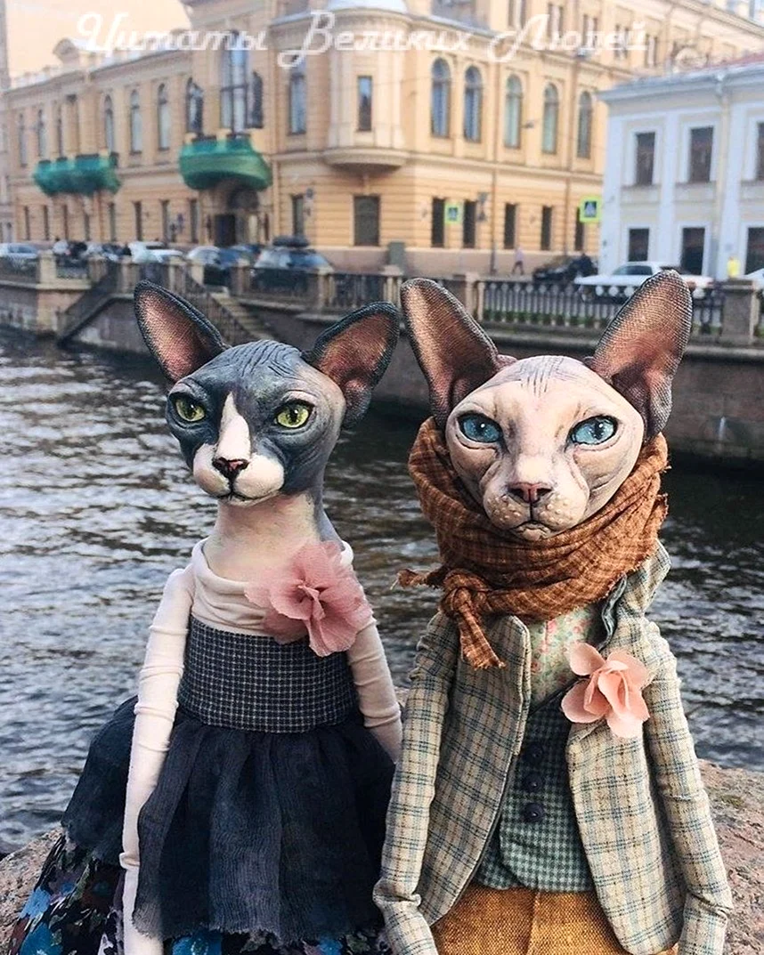 Петербургские коты Елены Алехиной