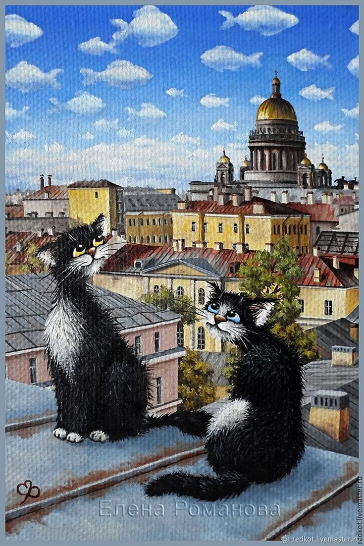 Петербургские коты Елены Романовой