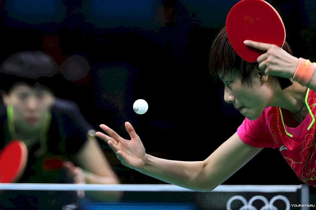 Ping Pong игра