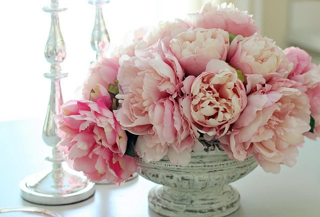Пион Paeonia Bouquet perfect