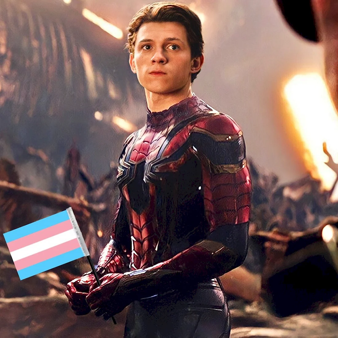 Питер паркет том Холлан