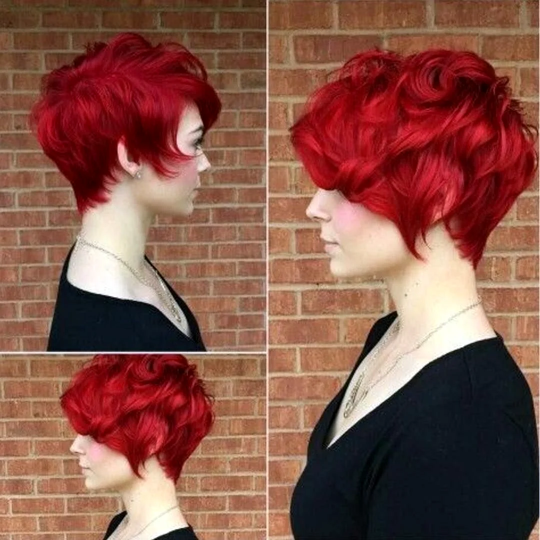 Pixie Bob стрижка красный