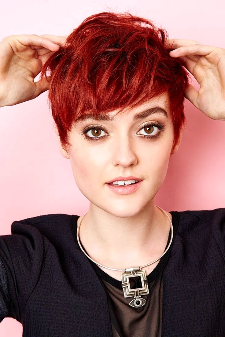 Pixie Bob стрижка красный