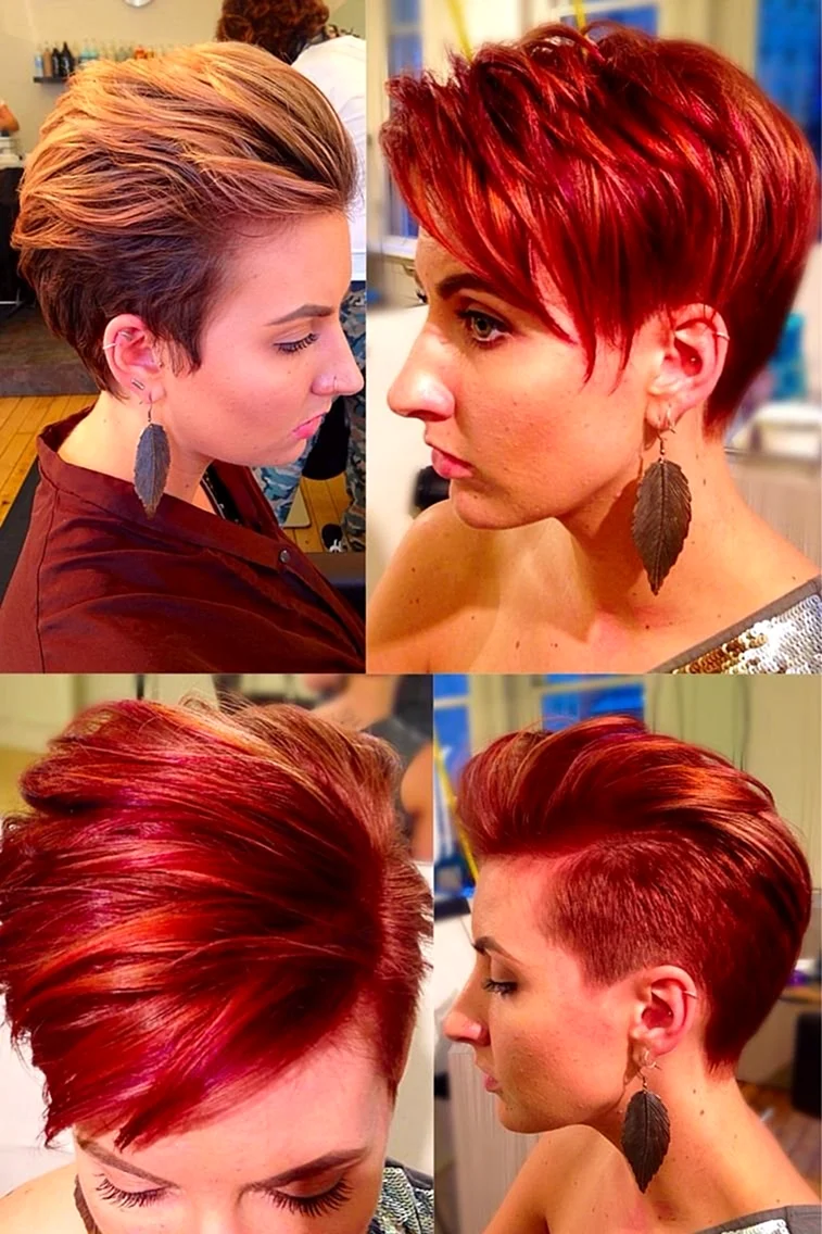Pixie Bob стрижка красный