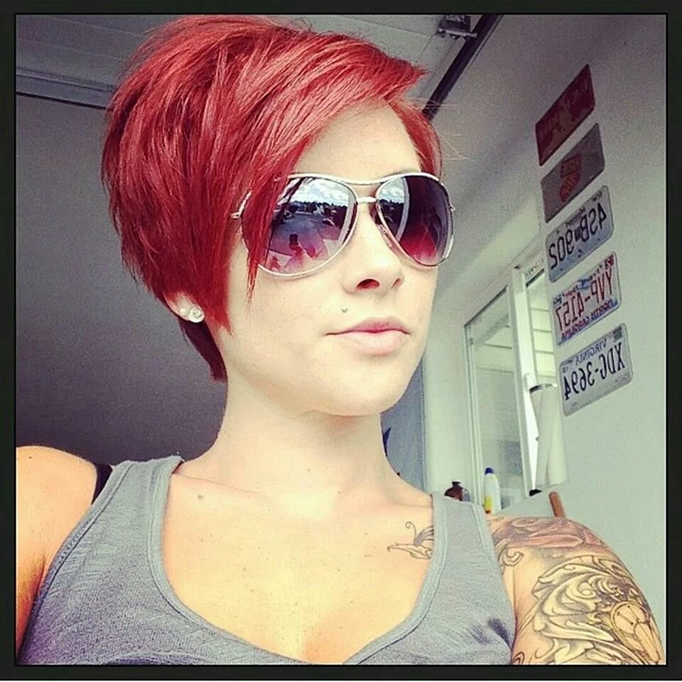 Pixie Bob стрижка красный