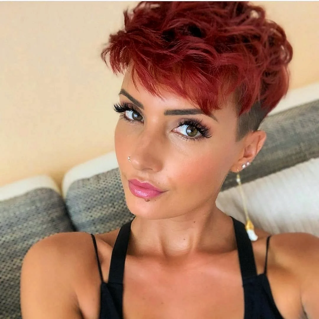 Pixie Bob стрижка красный