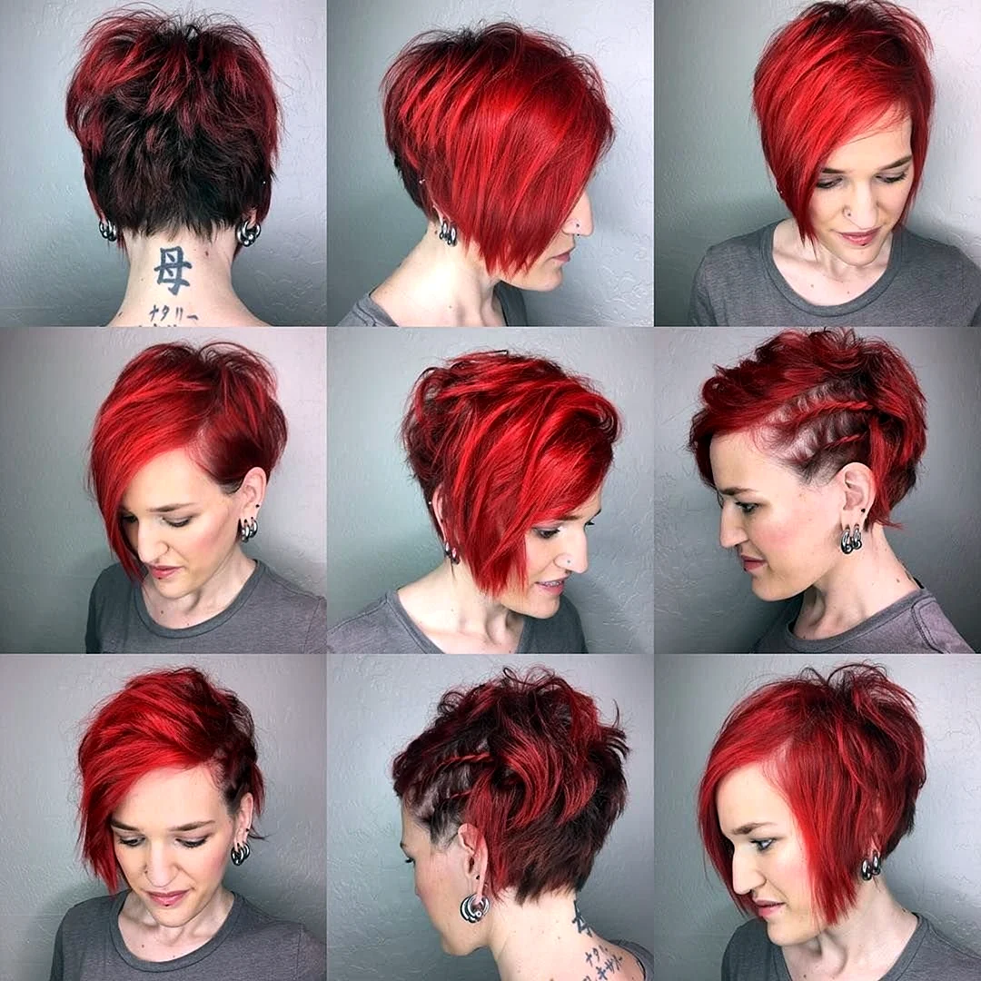 Pixie Bob стрижка красный