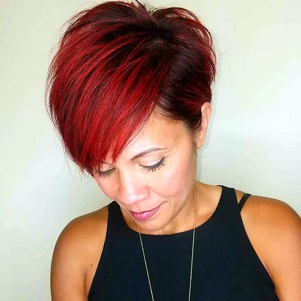 Pixie Bob стрижка красный