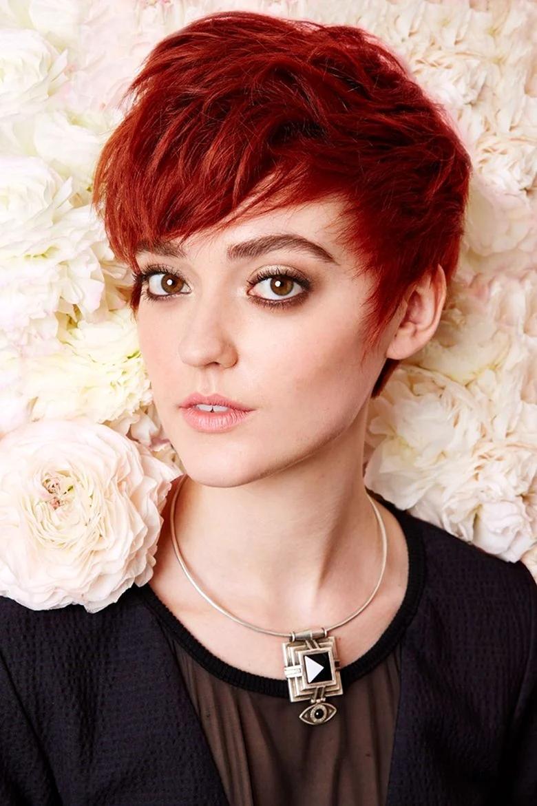 Pixie Bob стрижка красный