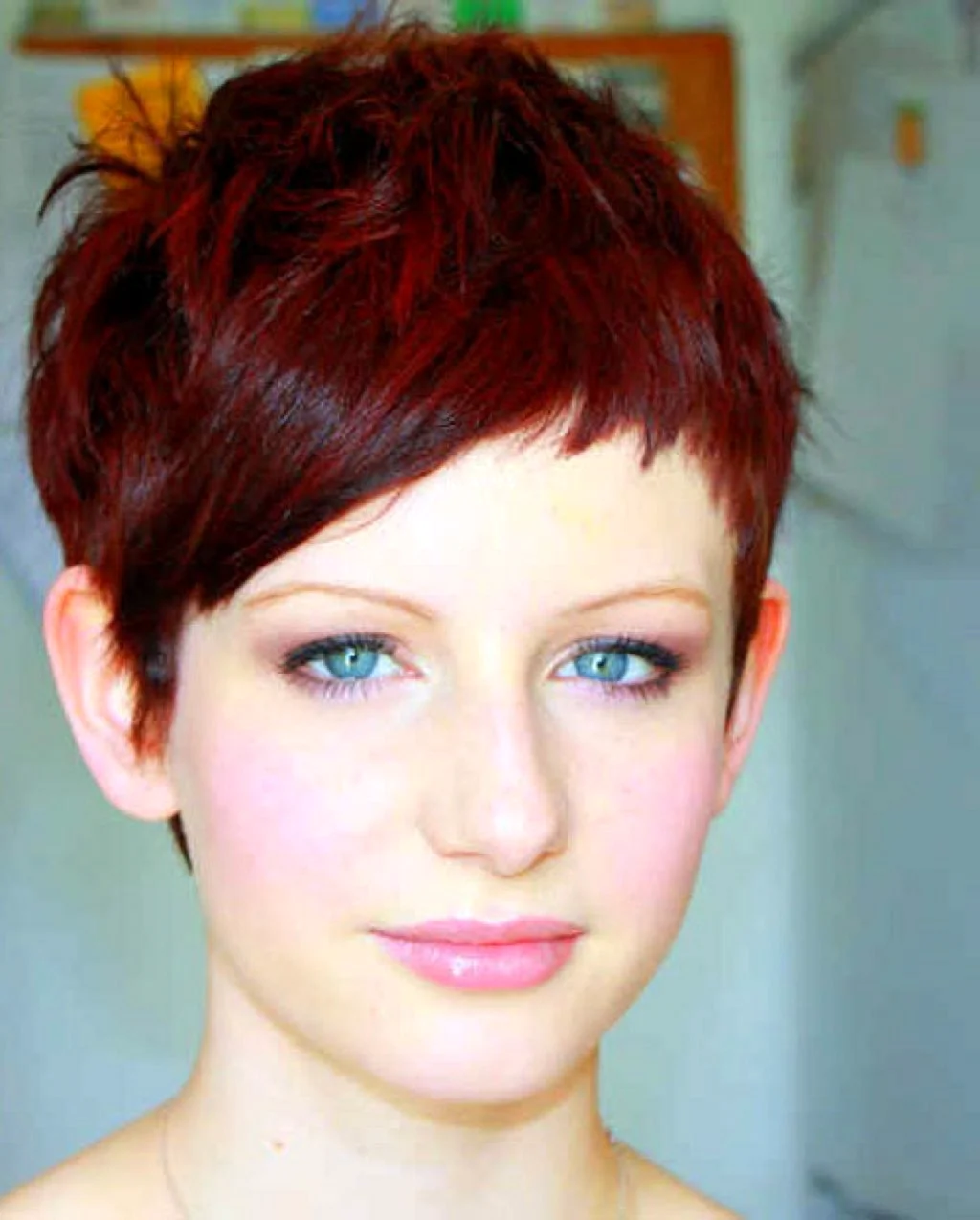 Pixie Bob стрижка красный