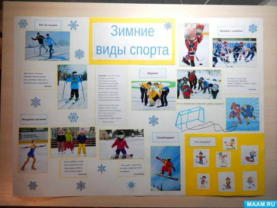 Плакат. Зимние виды спорта
