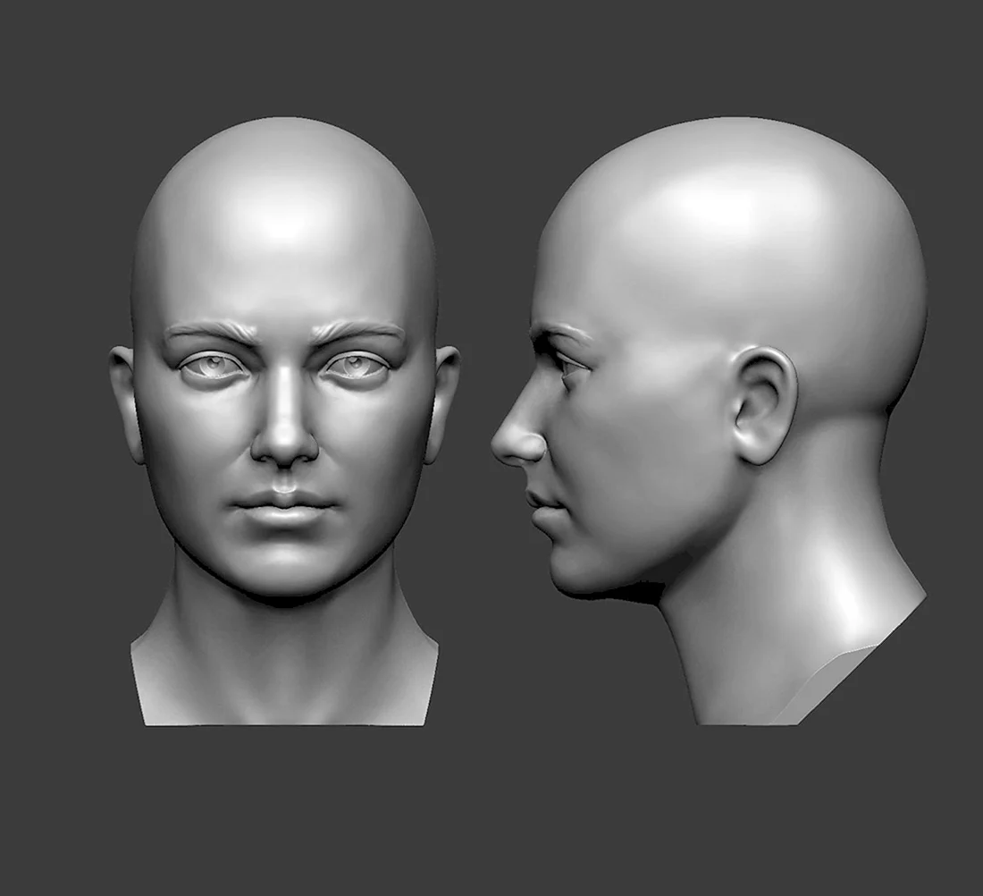 Planar head 3d модель